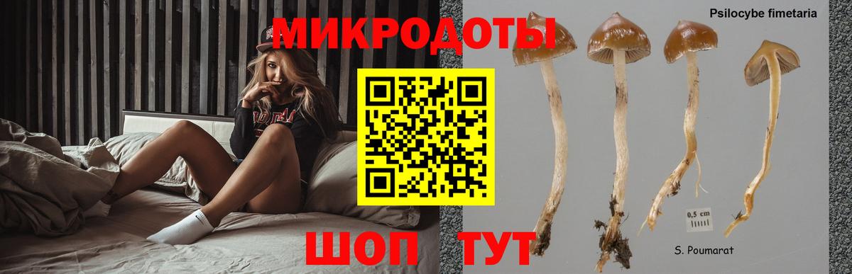 Галлюциногенные грибы ЛСД  Вход с VPN  Псилоцибиновые грибы прущие грибы  Семилуки 